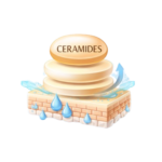 icon for our active ingredients ceremides
