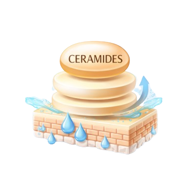 ceramides icon